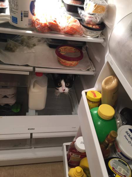 morning picdump 50 pics 18.html - 50 HD Photos | Premium Gallery 2017