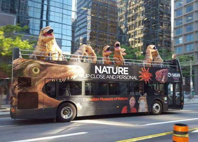 morning picdump 50 pics 18.html - 50 HD Photos | Premium Gallery 2017