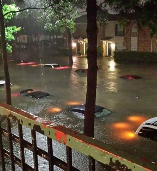 morning picdump 50 pics 18.html - 50 HD Photos | Premium Gallery 2017