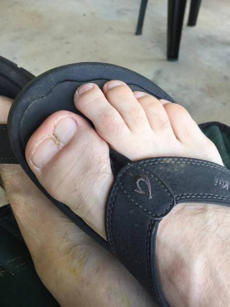 Sometimes the Only Question is WTF?