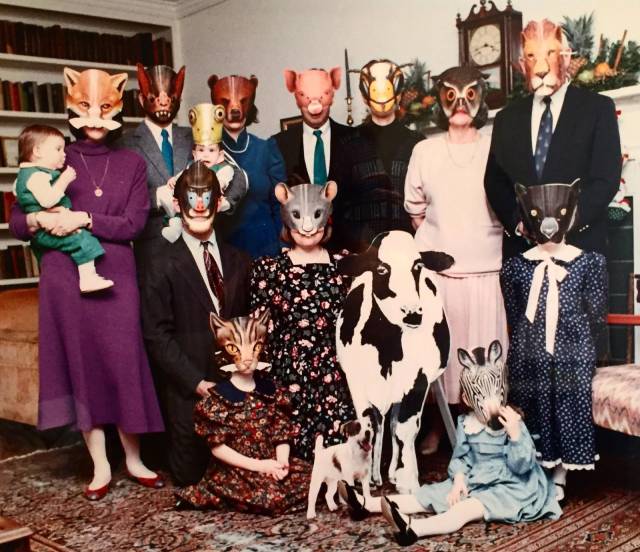 Sometimes the Only Question is WTF?