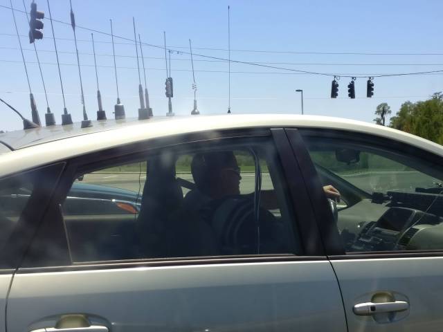 Sometimes the Only Question is WTF?