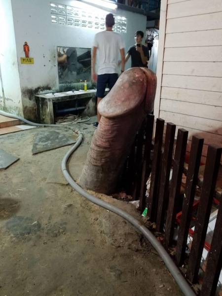 Sometimes the Only Question is WTF?