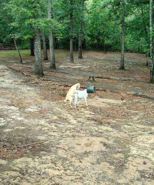 Sometimes the Only Question is WTF?