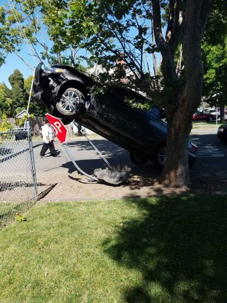 Sometimes the Only Question is WTF?