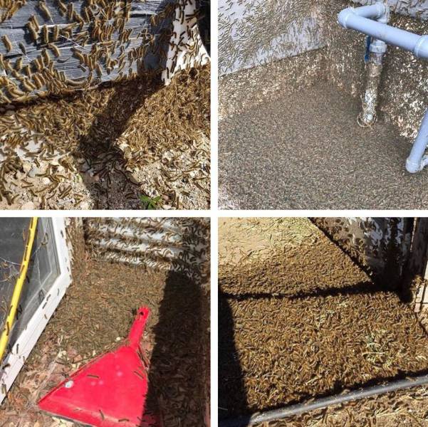 Sometimes the Only Question is WTF?