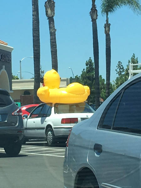 Morning Picdump