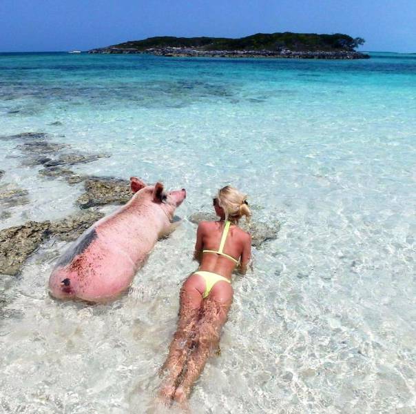 Daily Picdump [WEEKEND EDITION]