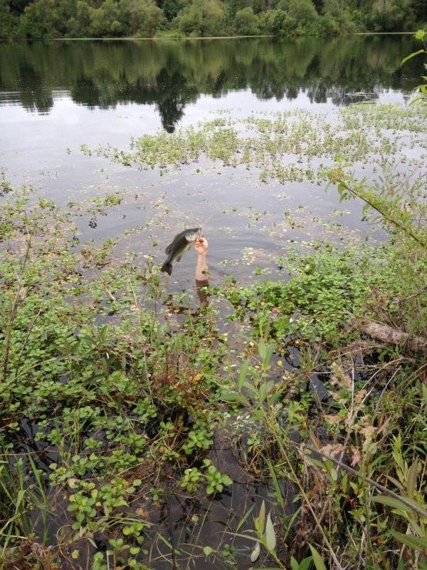 Daily Picdump [WEEKEND EDITION]