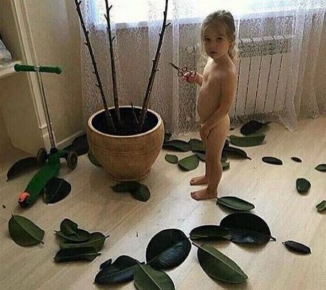 daily picdump 107 pics 43.html - 107 HD Photos | Premium Gallery 2017