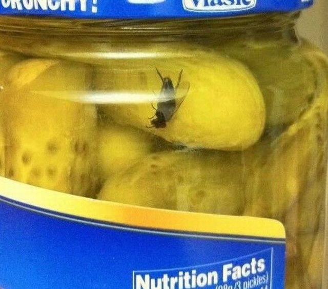 daily picdump 107 pics 43.html - 107 HD Photos | Premium Gallery 2017