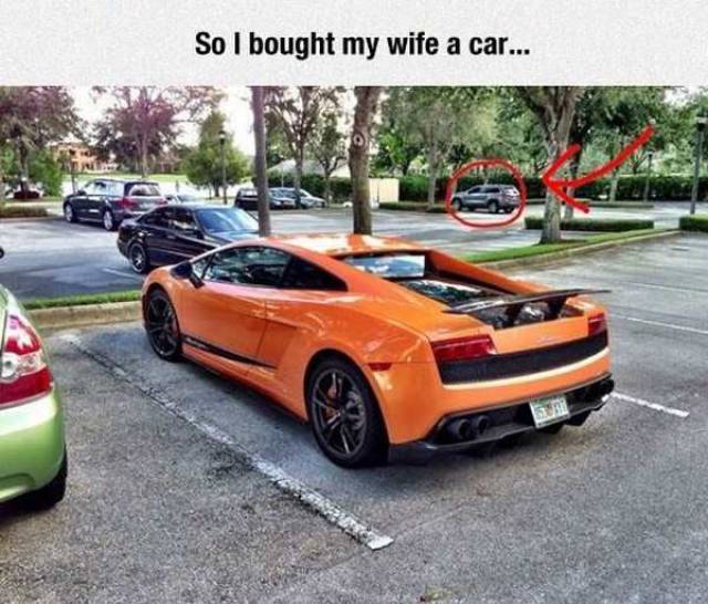 daily picdump 107 pics 43.html - 107 HD Photos | Premium Gallery 2017