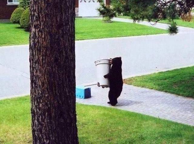 daily picdump 107 pics 43.html - 107 HD Photos | Premium Gallery 2017