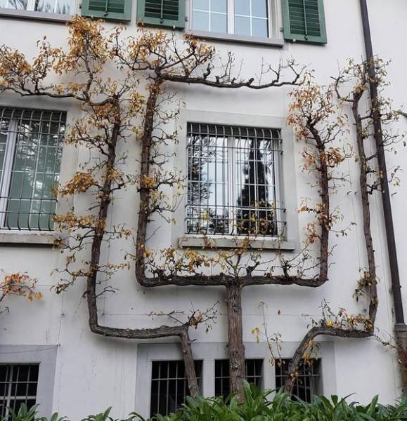 daily picdump 107 pics 43.html - 107 HD Photos | Premium Gallery 2017