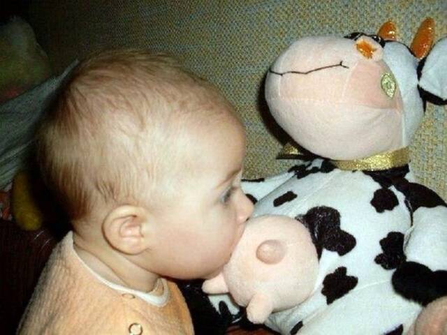 daily picdump 107 pics 43.html - 107 HD Photos | Premium Gallery 2017