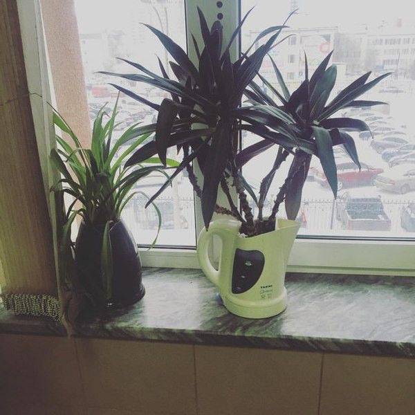 daily picdump 107 pics 43.html - 107 HD Photos | Premium Gallery 2017