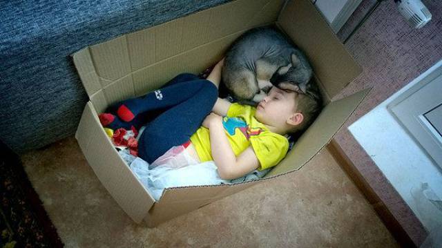 daily picdump 107 pics 43.html - 107 HD Photos | Premium Gallery 2017