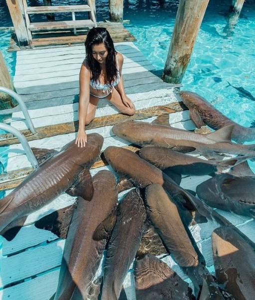 daily picdump 107 pics 43.html - 107 HD Photos | Premium Gallery 2017