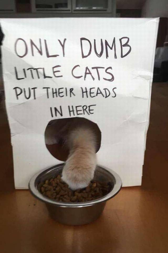 daily picdump 107 pics 43.html - 107 HD Photos | Premium Gallery 2017