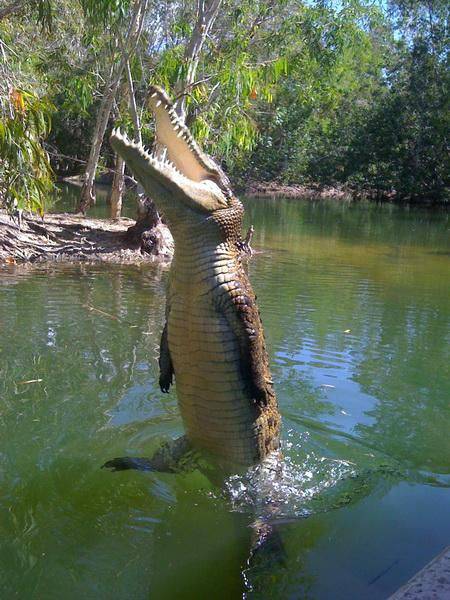 Daily Picdump
