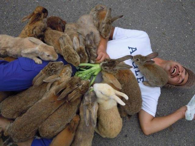 Daily Picdump