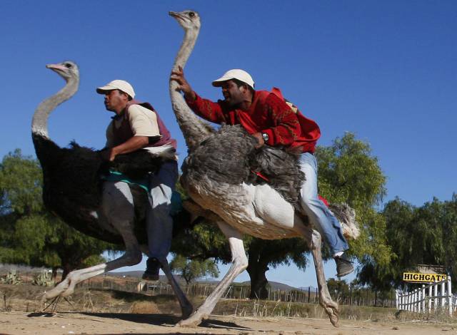Daily Picdump