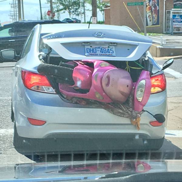 daily picdump 96 pics 47.html - 96 HD Photos | Premium Gallery 2017