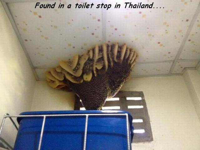 daily picdump 96 pics 47.html - 96 HD Photos | Premium Gallery 2017
