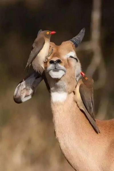 daily picdump 96 pics 47.html - 96 HD Photos | Premium Gallery 2017