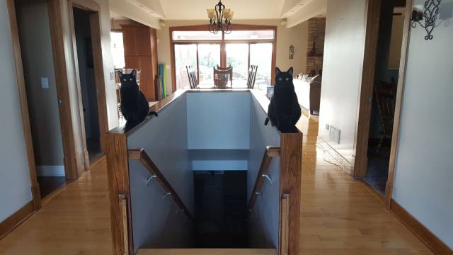 daily picdump 96 pics 47.html - 96 HD Photos | Premium Gallery 2017