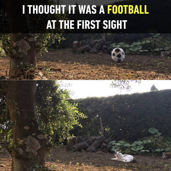 funny picdump 52 pics 7.html - 52 HD Photos | Premium Gallery 2017