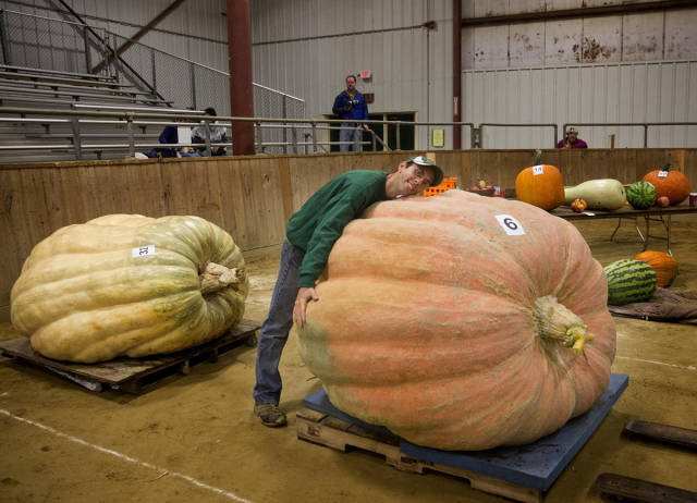 morning picdump 50 pics 17.html - 50 HD Photos | Premium Gallery 2017