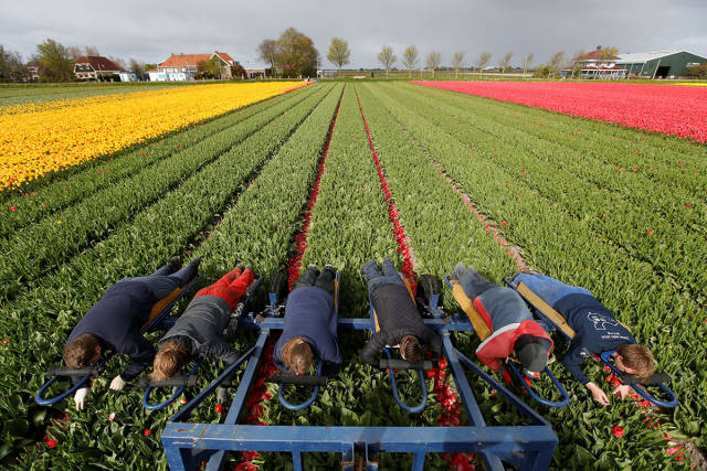 morning picdump 50 pics 17.html - 50 HD Photos | Premium Gallery 2017