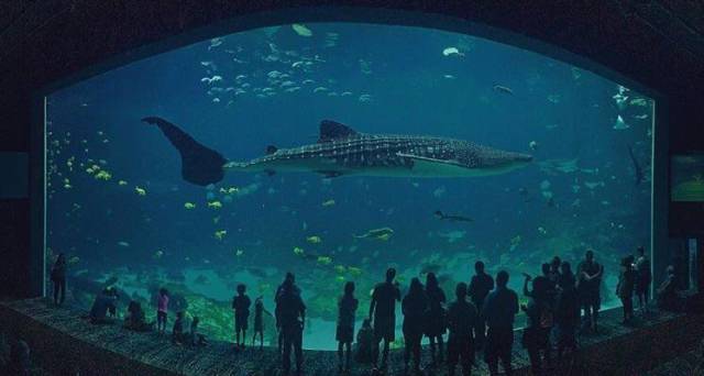 morning picdump 50 pics 17.html - 50 HD Photos | Premium Gallery 2017