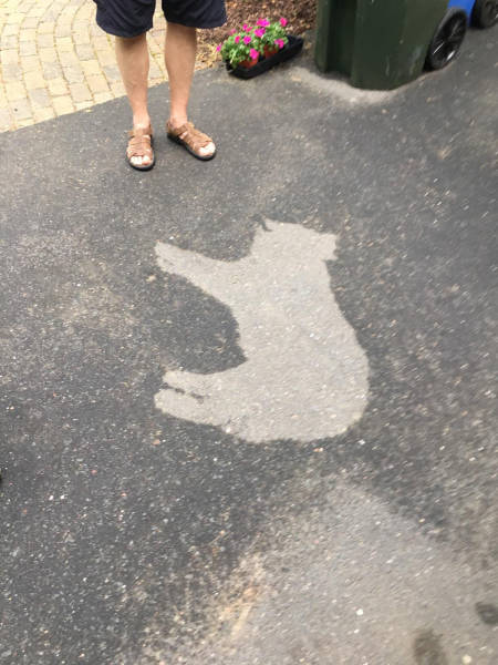 morning picdump 50 pics 17.html - 50 HD Photos | Premium Gallery 2017