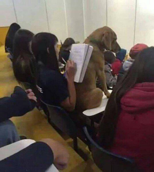 daily picdump 93 pics 44.html - 93 HD Photos | Premium Gallery 2017