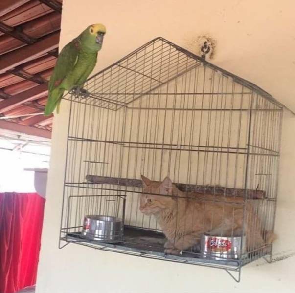 daily picdump 93 pics 44.html - 93 HD Photos | Premium Gallery 2017