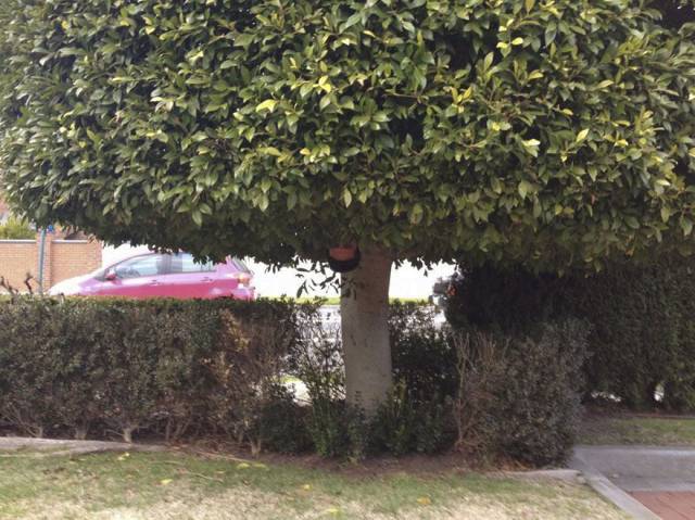 daily picdump 93 pics 44.html - 93 HD Photos | Premium Gallery 2017