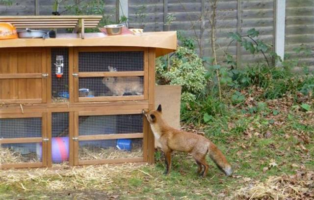 daily picdump 93 pics 44.html - 93 HD Photos | Premium Gallery 2017