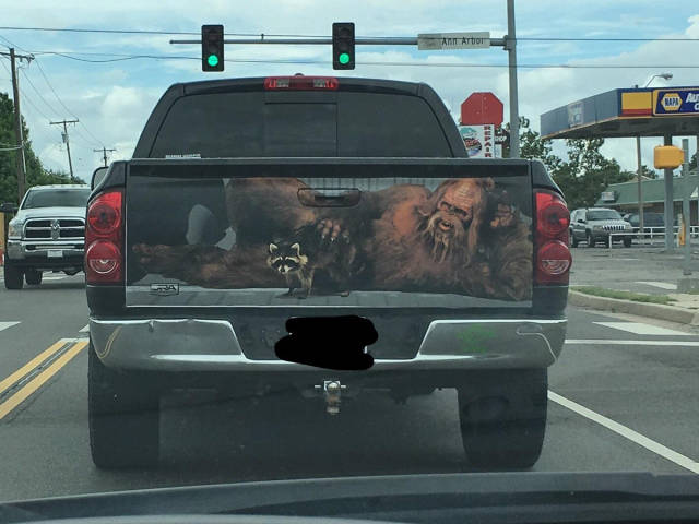 morning picdump 53 pics 20.html - 53 HD Photos | Premium Gallery 2017