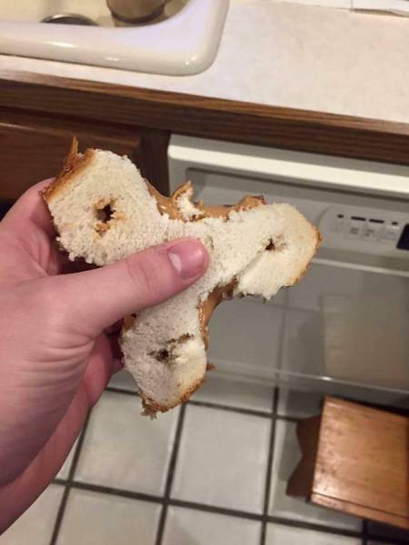 morning picdump 53 pics 20.html - 53 HD Photos | Premium Gallery 2017