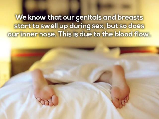 These Sexy Facts Are Just What You Desire