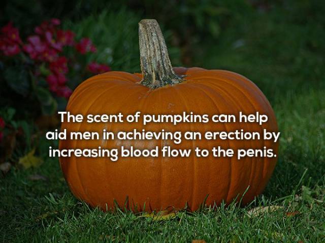 These Sexy Facts Are Just What You Desire
