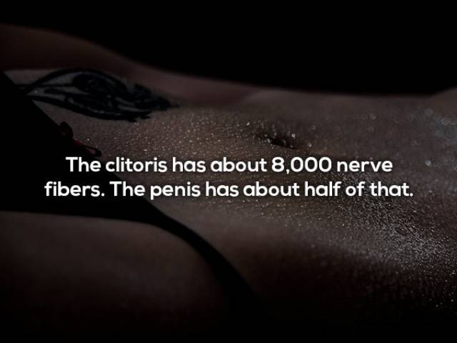 These Sexy Facts Are Just What You Desire