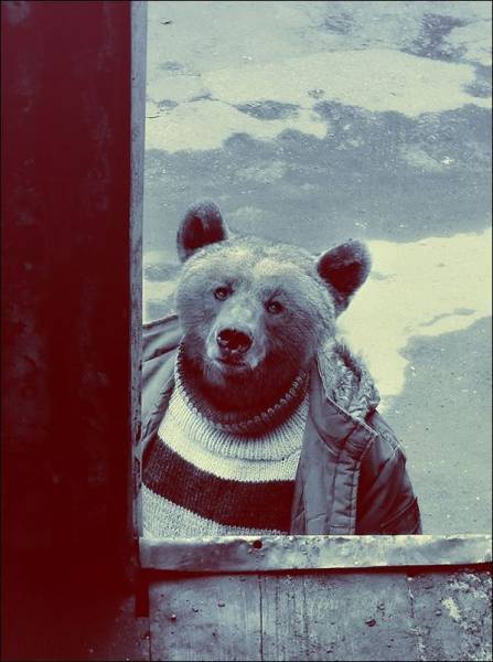 daily picdump 95 pics 39.html - 95 HD Photos | Premium Gallery 2017