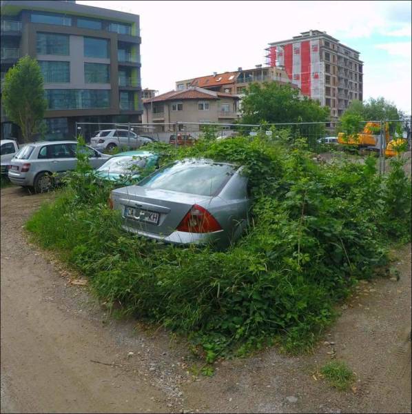 daily picdump 95 pics 39.html - 95 HD Photos | Premium Gallery 2017