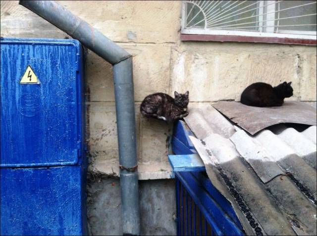 daily picdump 95 pics 39.html - 95 HD Photos | Premium Gallery 2017