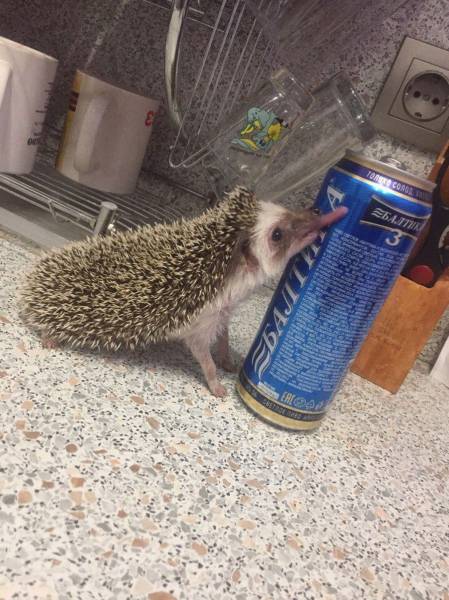 daily picdump 95 pics 39.html - 95 HD Photos | Premium Gallery 2017