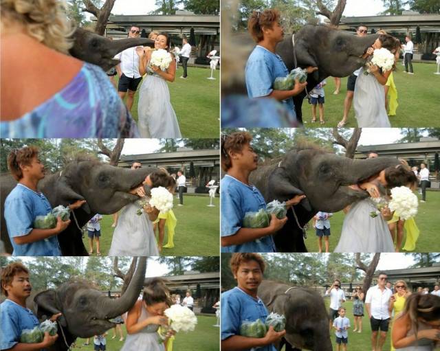 daily picdump 95 pics 39.html - 95 HD Photos | Premium Gallery 2017