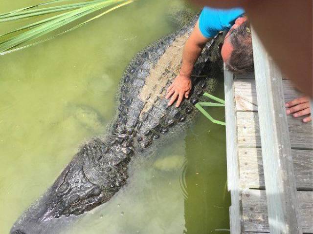 Daily Picdump [WEEKEND EDITION]